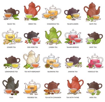 Types of tea - cup and teapot drawing set isolated on white background.