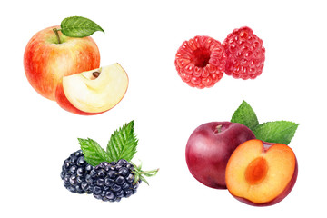 Naklejka premium apple blackberry plum raspberry set watercolor isolated on white background