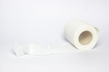 roll of toilet paper