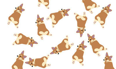 Vector illustration of corgi dog.