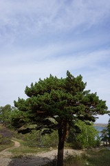 Resort Borovoe Kazakistan