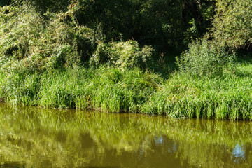 View of the river, surrounded by greenery, reflected in the water.