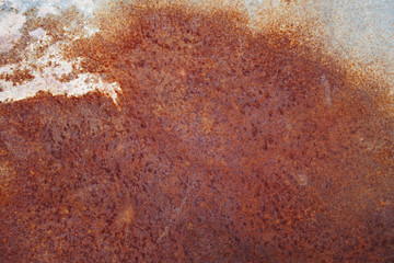 Surface background, beautiful natural wood material