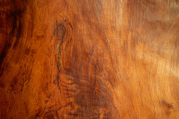 The background material surface grain nature beautiful