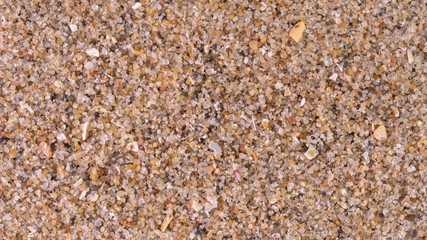 Macro shot of Beach Sand Background