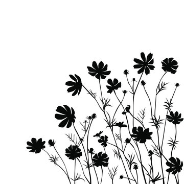 recommend clip art: Set of silhouettes of flowers daisies, chamomile, vector, black color, isolated on white background