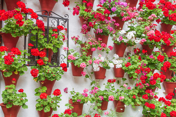 Patios Fleuris