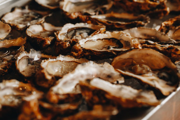 delicious mouth-watering open oysters close-up in a luxurious restaurant for dinner