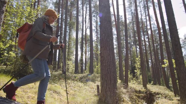 Caucasian old sportswoman wearing warm clothes walking with ski poles in forest