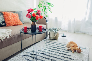Interior of living room decorated with flowers on coffee table and cat lying on carpet and playing....