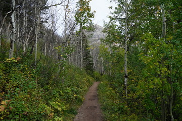 Waterton National Park