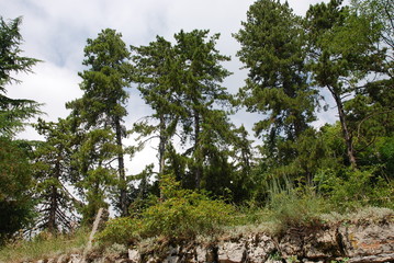 Etschtal bei Spiazzi