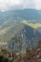 Fototapeta premium Nature lifestyle photographs