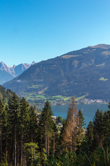 Nature lifestyle photographs