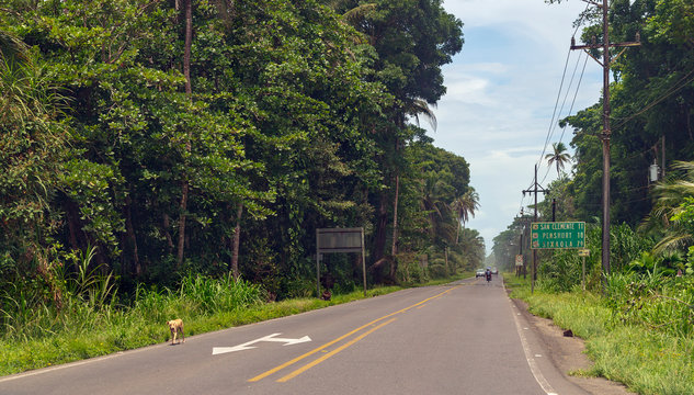 Landscape Cahuita Costa Rica 