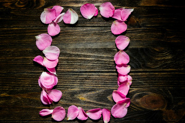 pink flowers on wooden background