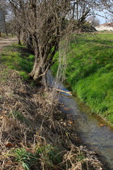 Typical water channel for irrigating crops