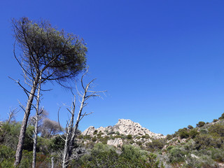la bella isola de La Maddalena in Sardegna, tra scogli e mare