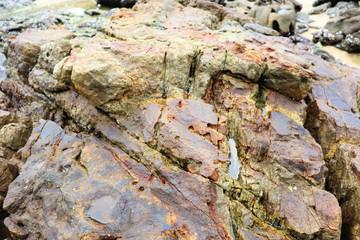 rock in water