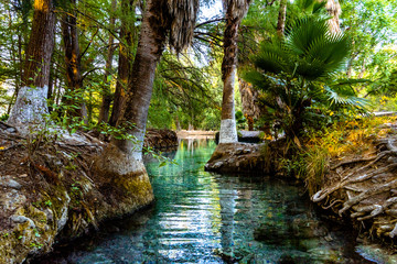 Exotic Lagoon in the heart of Mexico