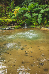 small waterfall and hot pool at Caldeira Velha, a nature reserve on Sao Miguel Island, Azores, Portugal