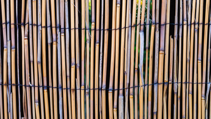 Thin bamboo type reed fencing miking the ideal Tiki Bar/Beach Backdrop.