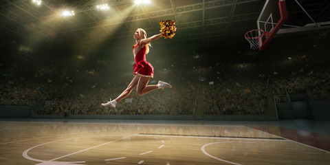A cheerleader in action on the professional stadium. Stadium and crowd are made in 3d.