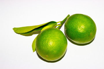  Two green limes on a twig. Isolates