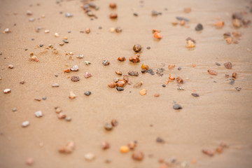 Small pebbles in the sand. Yellow little stones in the sand. Photo background with stones on the beach. Concept with blurred background and copy space.