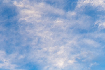 Sunny day on the celestial horizon appeared clouds, harbingers of good weather.