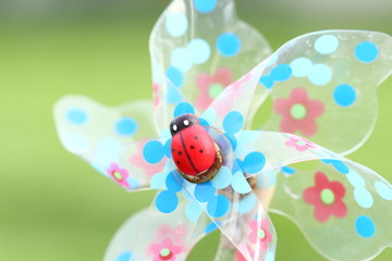 buntes Windrad mit Marienkäfer