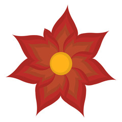 Isoalted red autumn flower on a white background - Vector