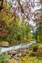 Rushing Cascade Mountain Stream along the Mountain Loop Highway in Washington State in Septemper