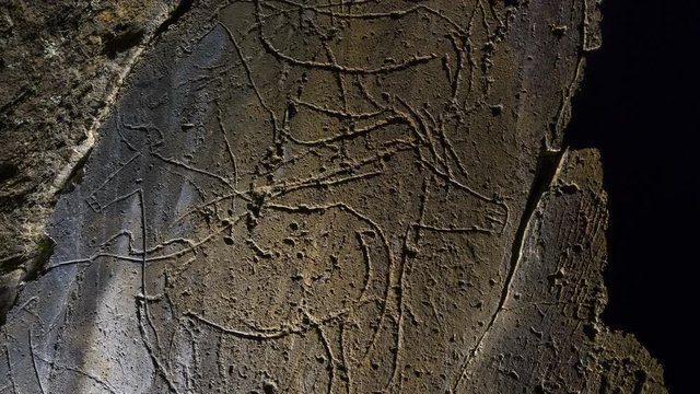 Penascosa Archaeological Site, Castelho Melhor, C&ocirc;a Valley, Western Iberia, Portugal, Europe, Rewilding Europe