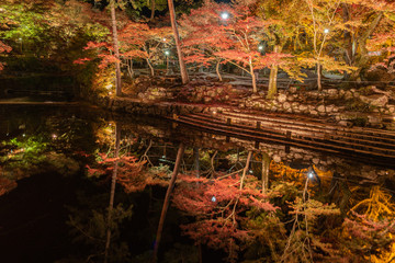 Fototapeta na wymiar Autumn leaves light up in Iwayado Park, reflect on the river at night in Japan.