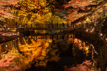 Autumn leaves in Iwayado Park,light up around the bridge and reflect on the river at night time in Japan.