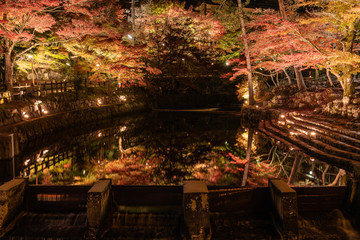Autumn leaves light up in Iwayado Park, reflect on the river at night in Japan.