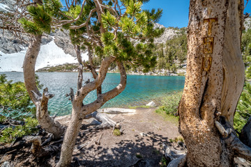 Fototapeta na wymiar Exotic and breathtaking views of the Mammoth Lakes area on the Eastern Sierras of California