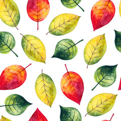 Obraz premium Autumn seamless watercolor pattern with colorful leaves on a white background. Hand drawn