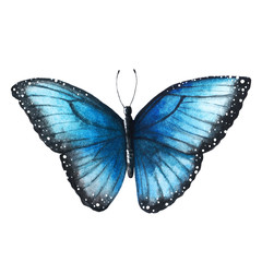 Butterfly blue sailboat. Watercolor illustration isolated on white background. Hand painted.