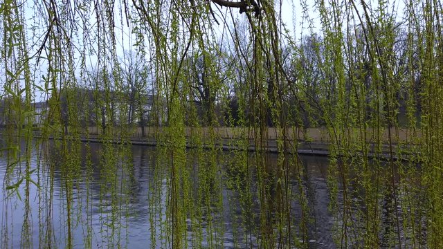Berlin City spring street scenic view on Spree River from shore park. Royalty free 4K stock footage for German, European life, travel, culture, history, architecture, weather.