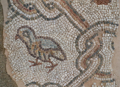 Roman mosaic located in archaeological site in The Bishop's Basilica of Philippopolis, the city of Plovdiv, Bulgaria. Roman mosaic in the oldest city in Europe