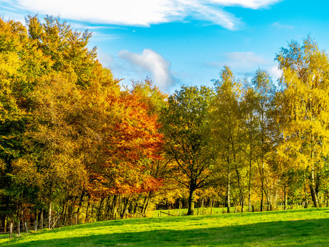 Agricultural and forest landscape on a sunny autumn day in Wallerode, Belgium