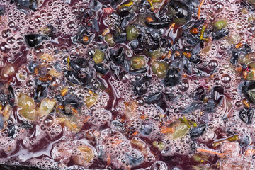 Wine-making. Technology of wine production. The folk tradition of making wine. Wine production in Moldova. The ancient tradition of grape processing.