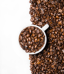 Coffee beans on white