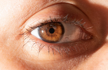 Obraz premium Human eye close-up. Macro photography. 