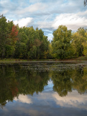Fototapeta na wymiar Autumn, pond, Park.