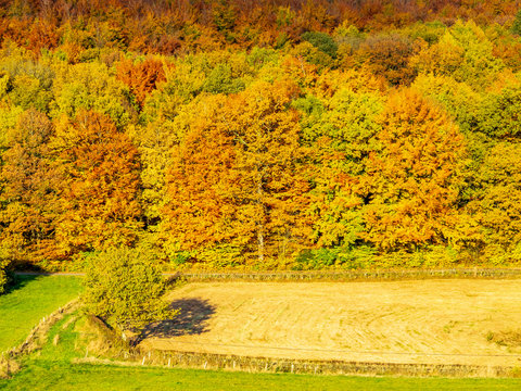 Agricultural and forest landscape on a sunny autumn day in Wallerode, Belgium, elevated view