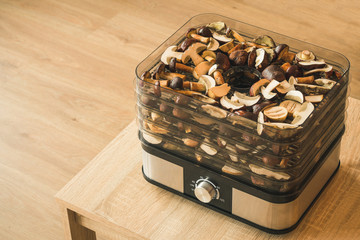 Vegetables dryer on wooden table with wooden background. Preparing for drying mushrooms. 