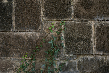 Steine als Hintergrund